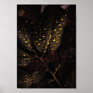 Affiche Golden Rain Glow – Natural Elegance