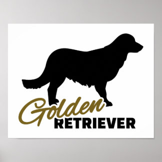 Affiche Golden Retriever