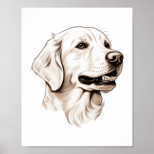 Affiche Golden Retriever 2 (Devant)