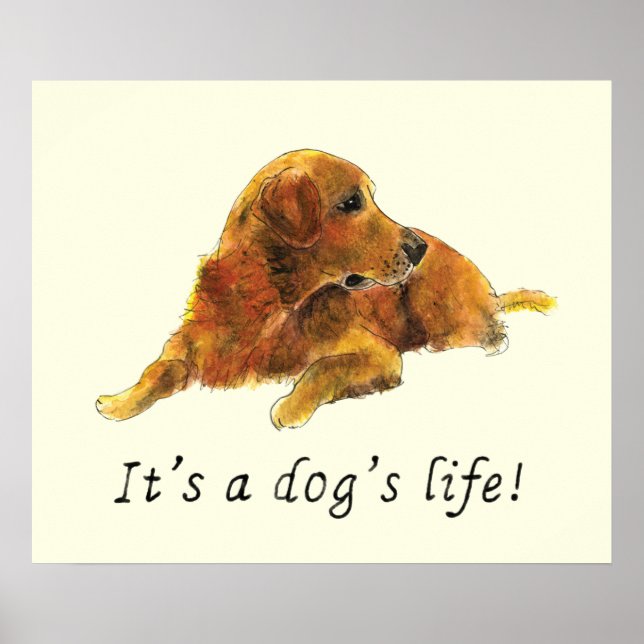 Affiche Golden Retriever aquarelle Peinture Chien Slogan (Devant)