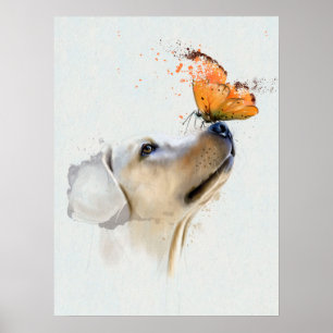 Affiche Golden Retriever avec un papillon sur son nez
