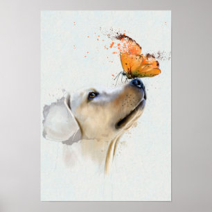 Affiche Golden Retriever avec un papillon sur son nez