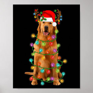 Affiche Golden Retriever Christmas Tree Lights Pyjama Chie