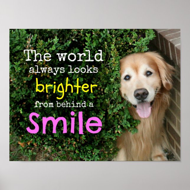 Affiche Golden Retriever Derrière Un Sourire (Devant)