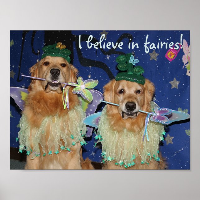 Affiche Golden Retriever Fairies (Devant)