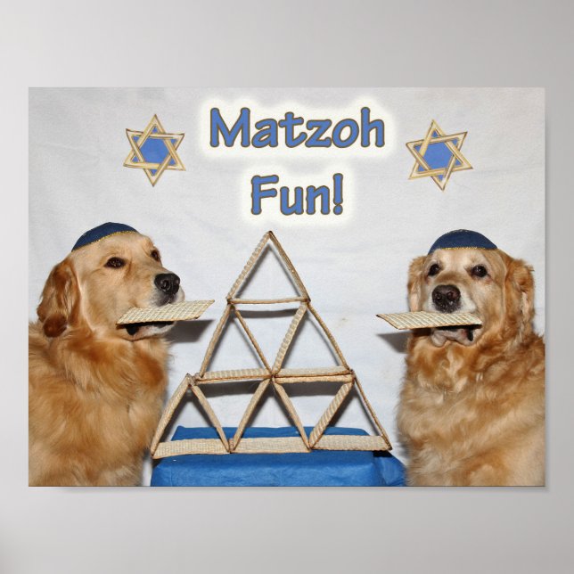 Affiche Golden Retriever Matzoh Fun Passover (Devant)