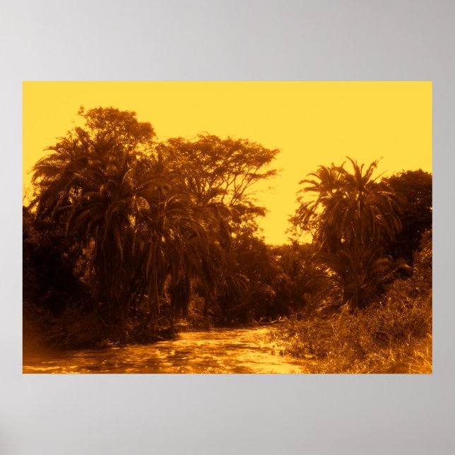 Affiche Golden River Gallery Forêt Terres tropicales Vinta (Devant)