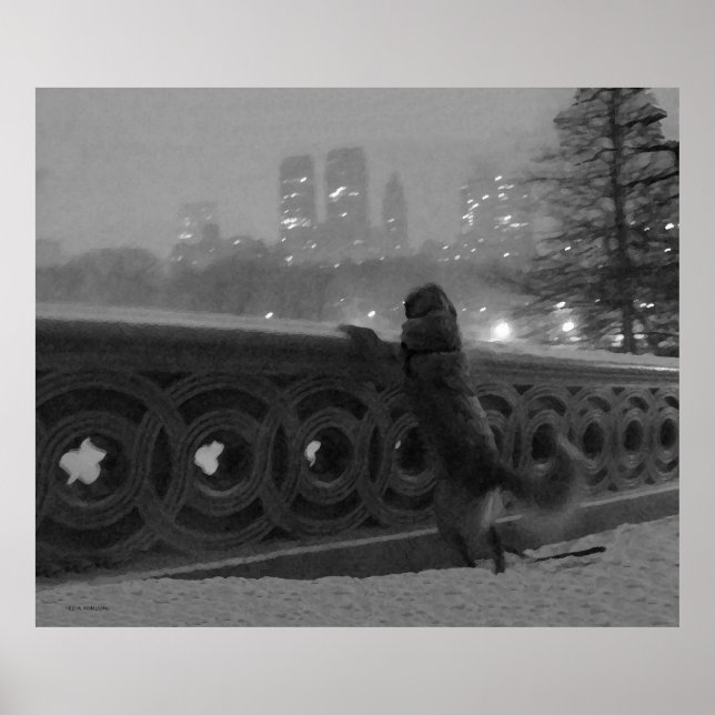 Affiche Golden sur Bow Bridge en Neige (Devant)