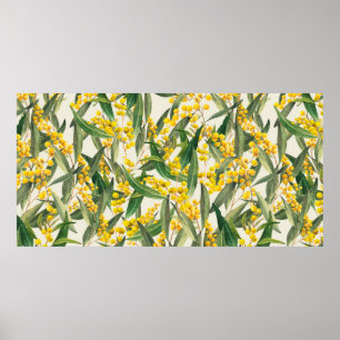 Affiche Golden Wattle (Acacia pycnantha) est le na de l'Au