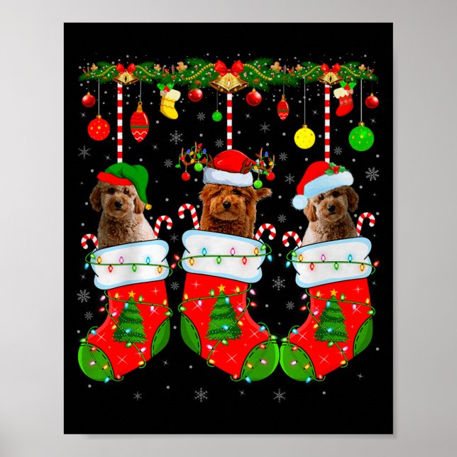 Affiche Goldendoodle en chaussettes de Noël Chien drôle d' (Devant)