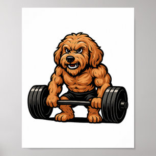Affiche Goldendoodle musculation culturiste salle de sport