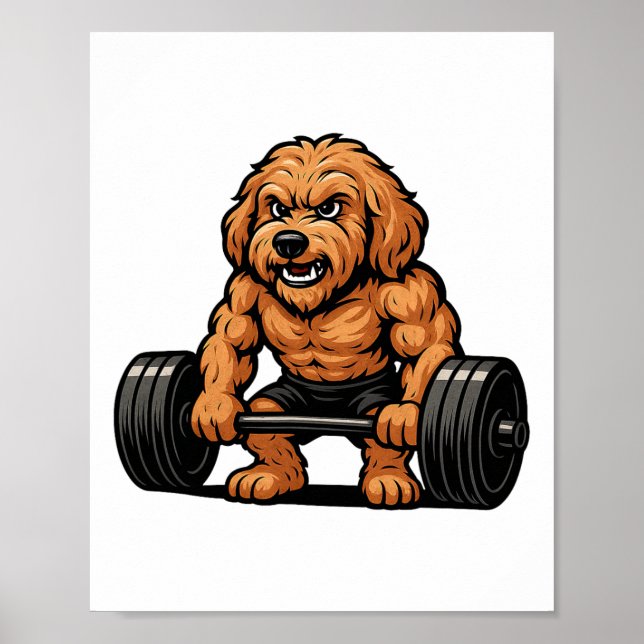 Affiche Goldendoodle Weightlifting Bodybuilder Workout Gym (Devant)