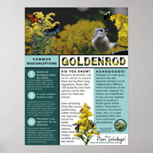 Affiche Goldenrod Misconceptions and Facts Blue Theme