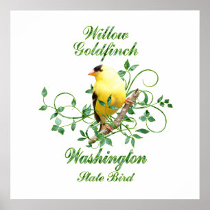 Affiche Goldfinch Washington State Bird