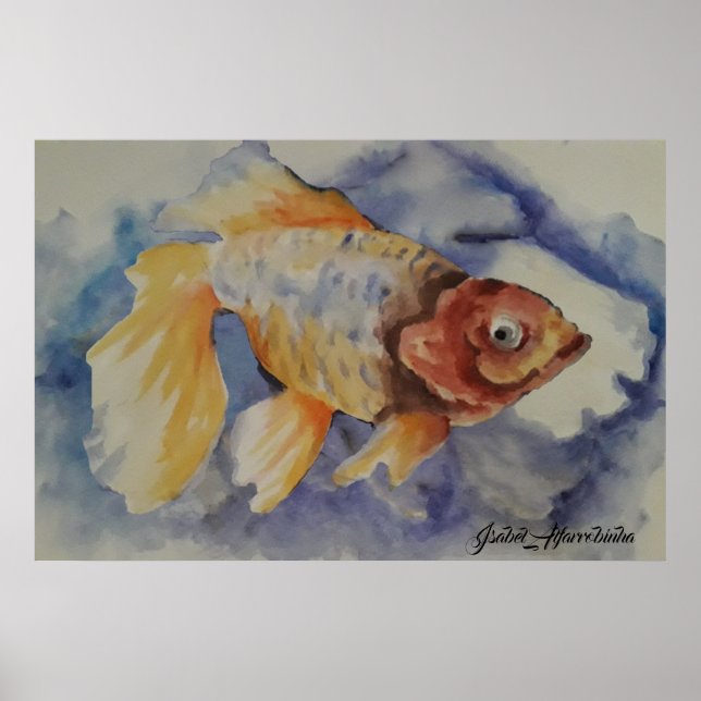 AFFICHE GOLDFISH DE COULEUR D'EAU (Devant)