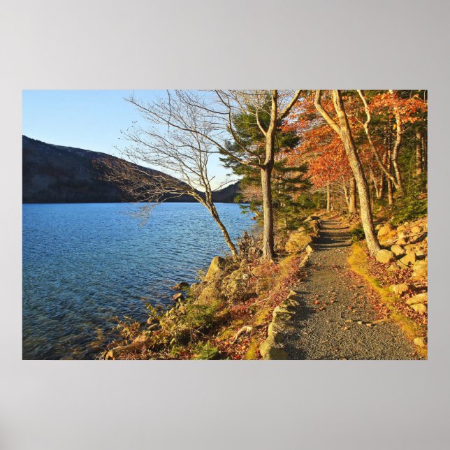 Affiche Golds & Blues (Devant)