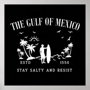 Affiche Golfe du Mexique reste salé et résiste
