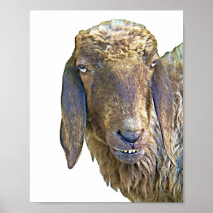 Affiche Goofy Sheep Visage de ferme d'art animal