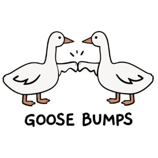 Affiche Goose pumps