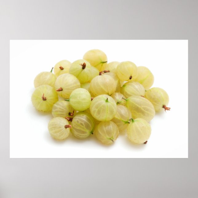 Affiche Gooseberries (Devant)