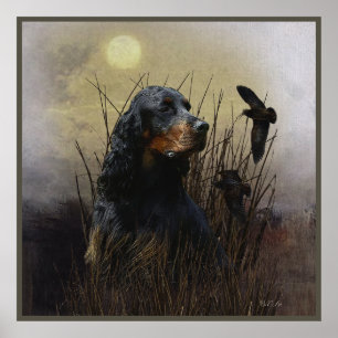 Affiche Gordon Setter, compagnon de chasse