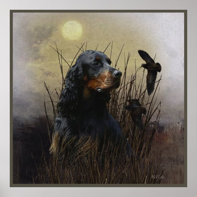 Affiche Gordon Setter, compagnon de chasse (Devant)
