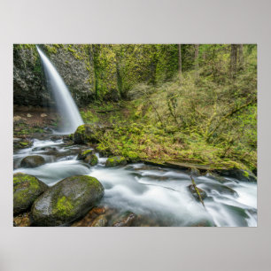 Affiche Gorge du fleuve Columbia, chutes Ponytail