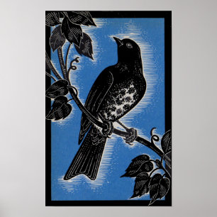 Affiche gorge noire avec bleu