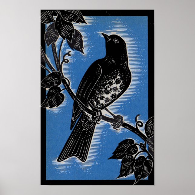 Affiche gorge noire avec bleu (Devant)