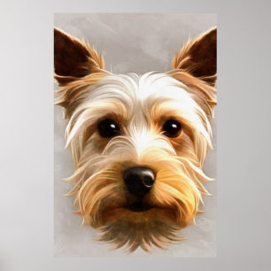 Affiche Gorgeous Cute Yorkshire Terrier Puppy Floating
