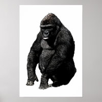 Gorilla