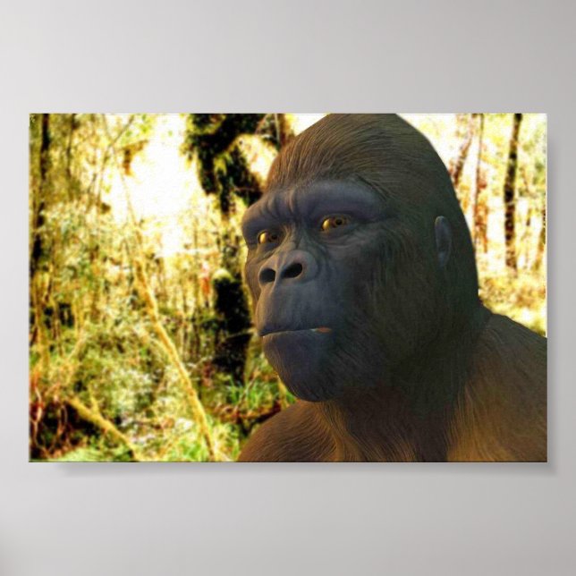 Affiche Gorilla 2 (Devant)