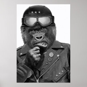 Affiche Gorilla Guy