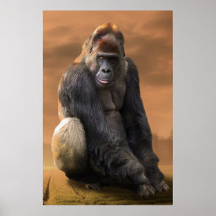 Affiche Gorilla, retour en argent au crépuscule