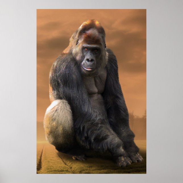 Affiche Gorilla, retour en argent au crépuscule (Devant)
