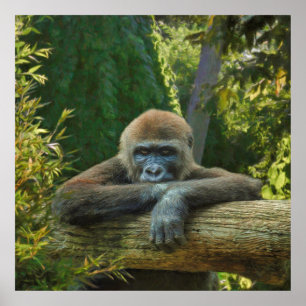 AFFICHE GORILLA "SAUVER NOS ESPÈCES"