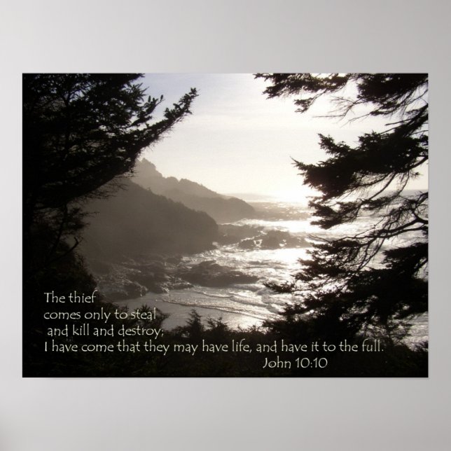 Affiche Got Life? (Devant)