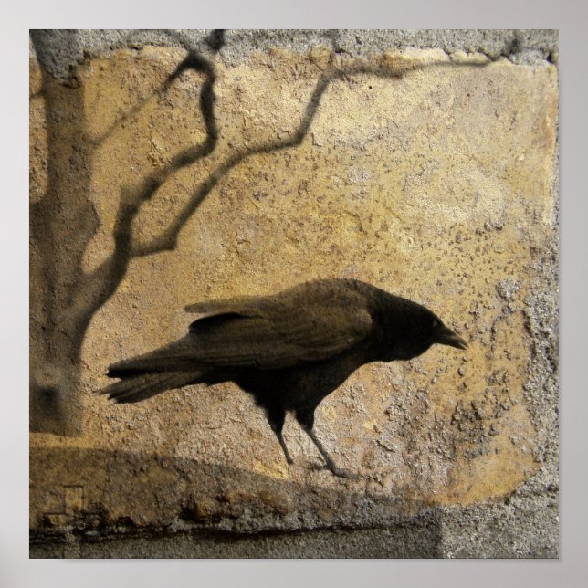 Affiche Gothique Caw (Devant)