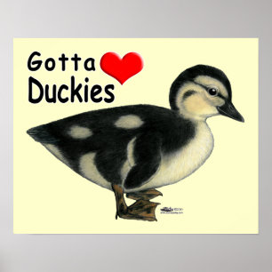 Affiche Gotta Love Duckies