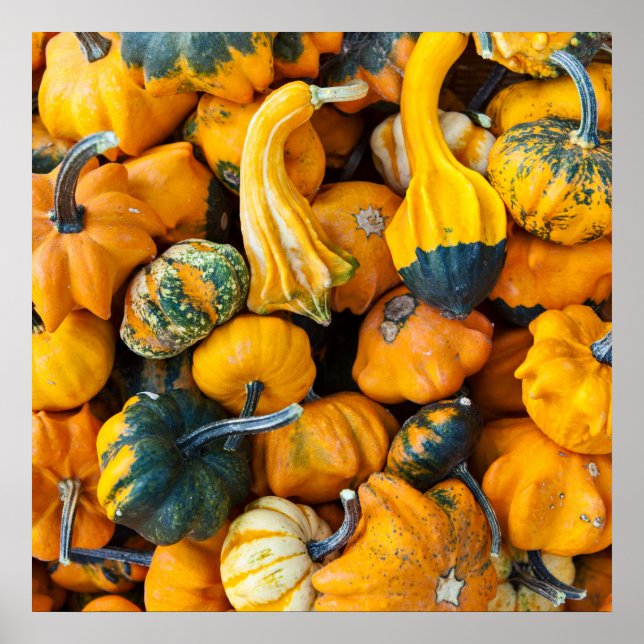 Affiche Gourdes (Devant)