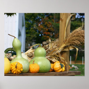 Affiche Gourds Corn Stalks Farm Stand Automne
