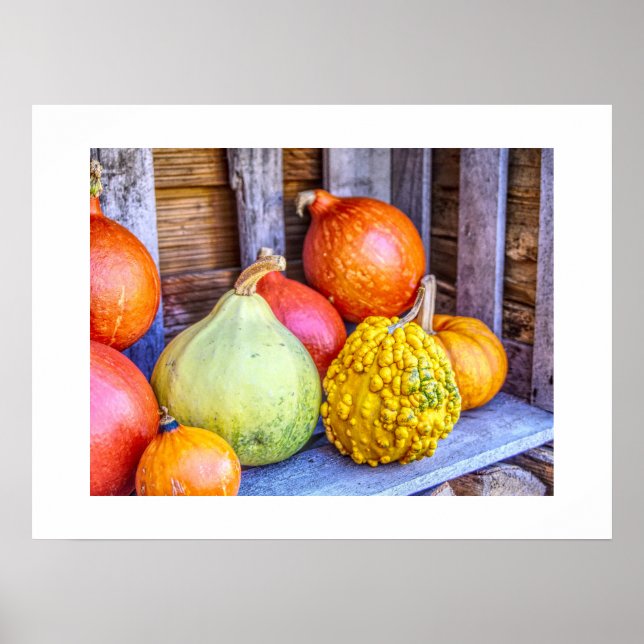 Affiche Gourds d'automne (Devant)