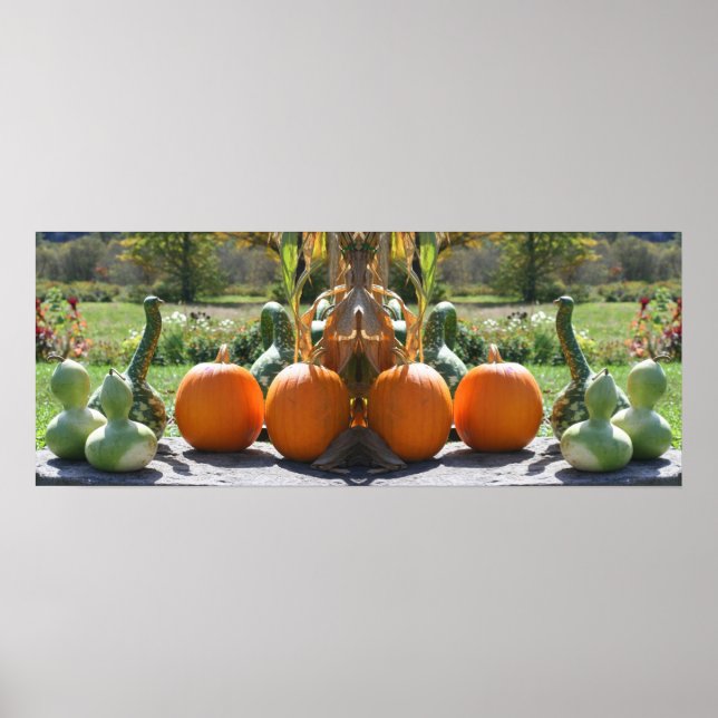 Affiche Gourds Et Citrouilles Tombent Miroir Abstrait (Devant)