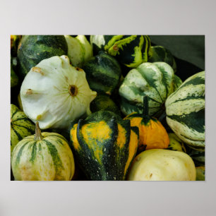 Affiche Gourds Galore