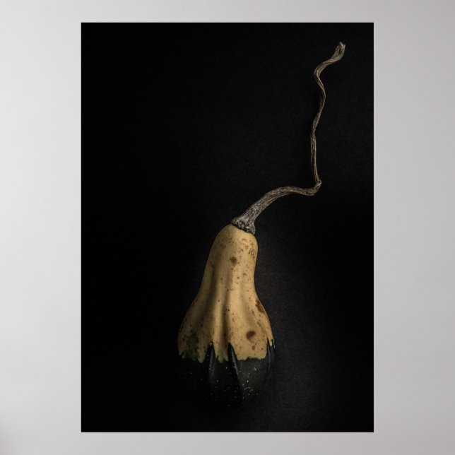 Affiche Gourds No 12 Color Version (Devant)
