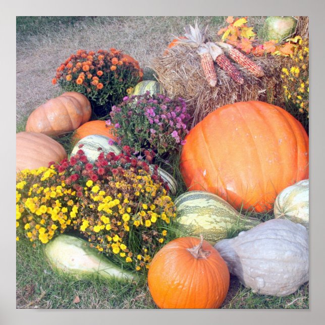 Affiche Gourmets et Citrouille (Devant)