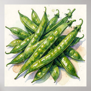 Affiche Gousses de pois à l'aquarelle