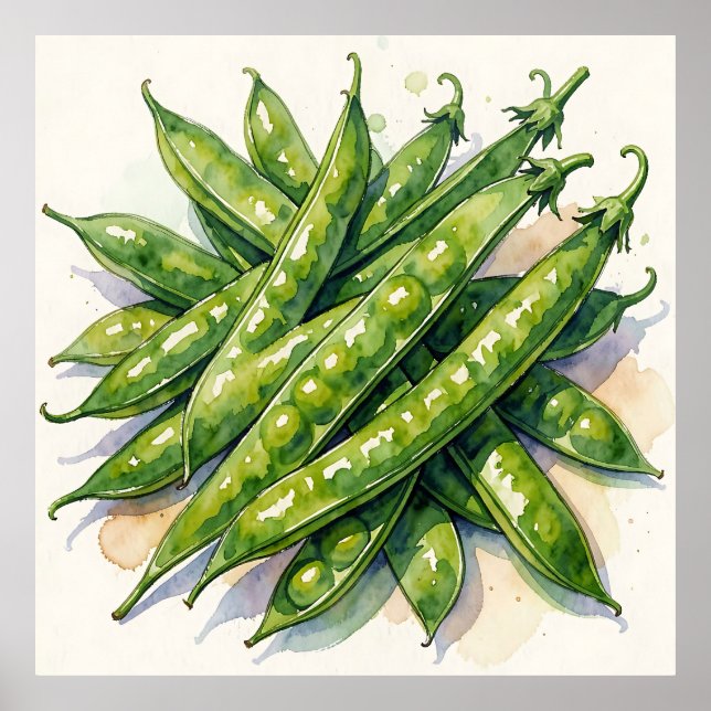 Affiche Gousses de pois à l'aquarelle (Devant)
