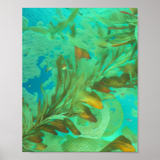 Affiche Goût de Mer