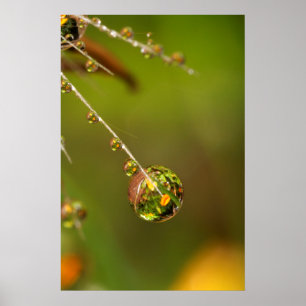 Affiche Goutte d'eau en gros plan